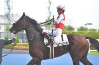 レースを終えたショウナンガレオンと鮫島克駿騎手