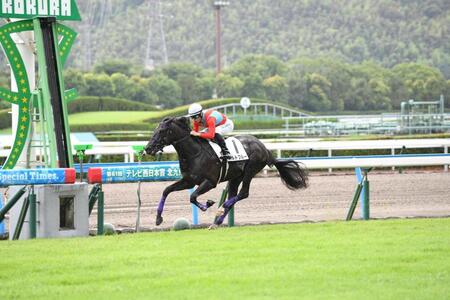 逃げ切って、３馬身半差で快勝するポルトブルー