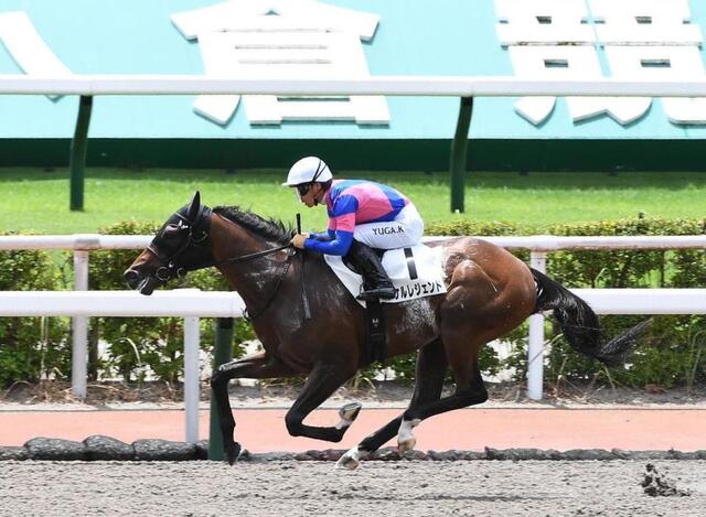小倉６Ｒの２歳新馬戦を逃げ切ったタケルレジェンド