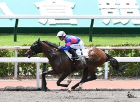小倉６Ｒの２歳新馬戦を逃げ切ったタケルレジェンド