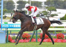 　衝撃のレコードＶでデビュー戦を飾ったショウナンガレオン（撮影・安藤瞭太）