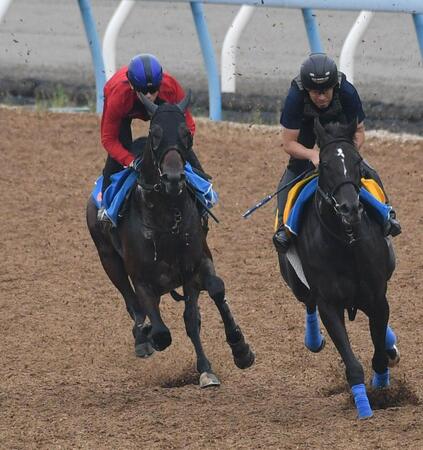レースに向け調整するカラマティアノス（左）