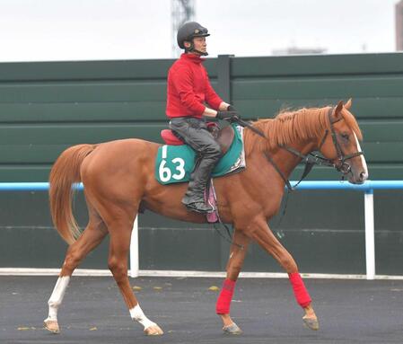 　名手・武豊とのコンビで初陣Ｖを狙う良血馬イッペイ