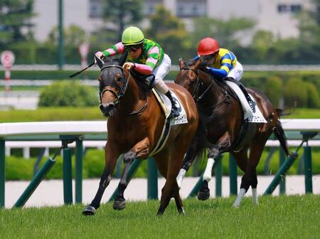 新馬戦を制したジーティーサクラ＝６月６日