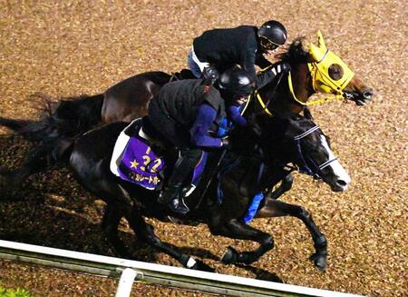 　ヴェルテンベルクとの併せ馬で国内最終追い切りを完了したマスカレードボール（手前）