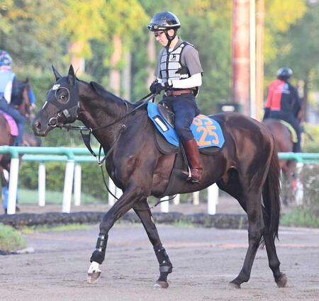 　重賞初Ｖを目指すアスクナイスショー（撮影・園田高夫）