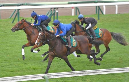 　佐々木大輔騎手を背に函館芝コースで追い切られるアルデシンザン（中）