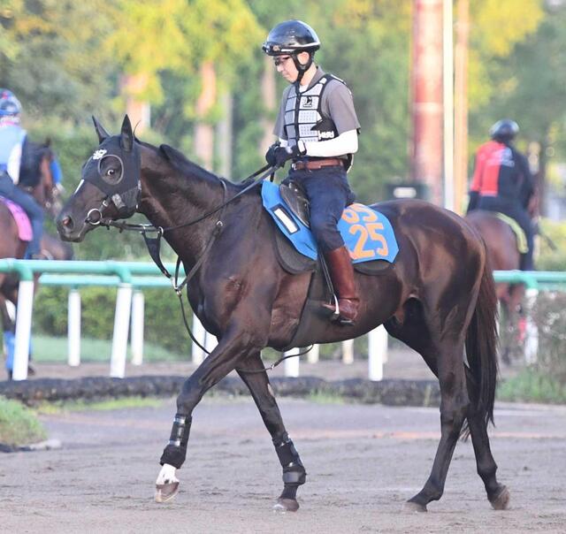 ま*ん様 競馬ポスターB1：ツインターボ 「2014年 第50回 七夕賞」 七夕賞】中舘師 アスクナイスショーで魅せる 93年ツインターボと伝説
