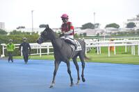 レース後に引き上げるウインアプローチと丹内騎手