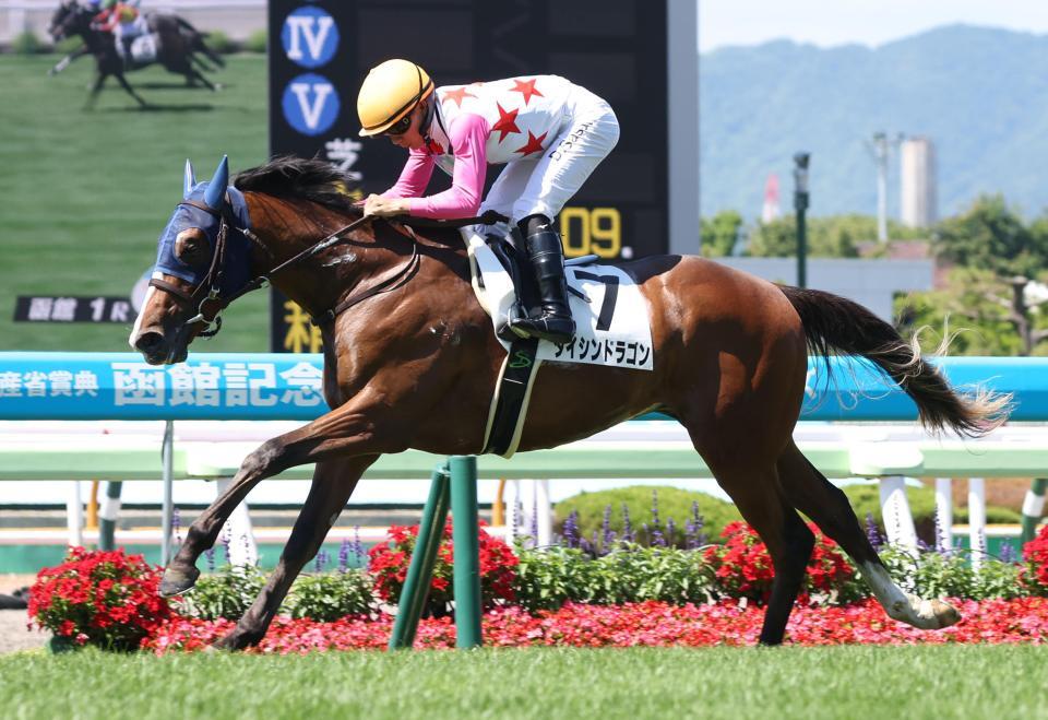 函館２歳Ｓに参戦予定のダイシンドラゴン