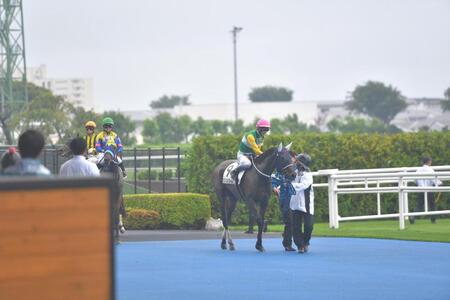 担当の厩務員と握手をかわす武豊騎手