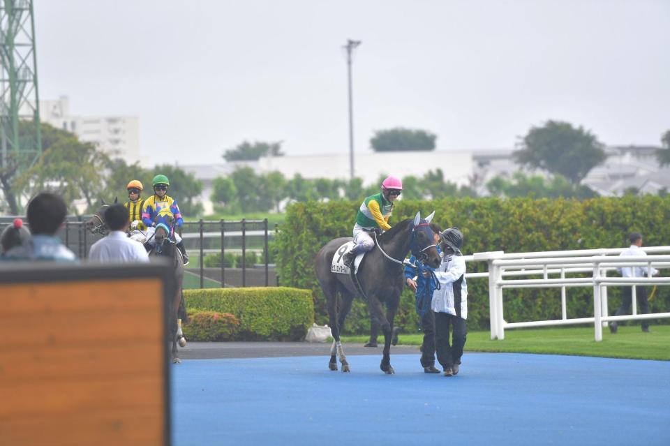 担当の厩務員と握手をかわす武豊騎手
