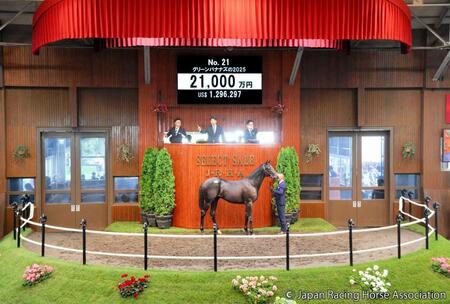 ２億１０００万円で落札されたグリーンバナナズ２５ⒸＪａｐａｎ　Ｒａｃｉｎｇ　Ｈｏｒｓｅ　Ａｓｓｏｃｉａｔｉｏｎ