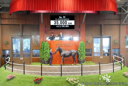 ３億５０００万円で落札されたサーチリザルツ２５ⒸＪａｐａｎ　Ｒａｃｉｎｇ　Ｈｏｒｓｅ　Ａｓｓｏｃｉａｔｉｏｎ