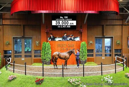 ３億９０００万円で落札されたエフフォーリア産駒のレディフォグホーン２５ⒸＪａｐａｎ　Ｒａｃｉｎｇ　Ｈｏｒｓｅ　Ａｓｓｏｃｉａｔｉｏｎ