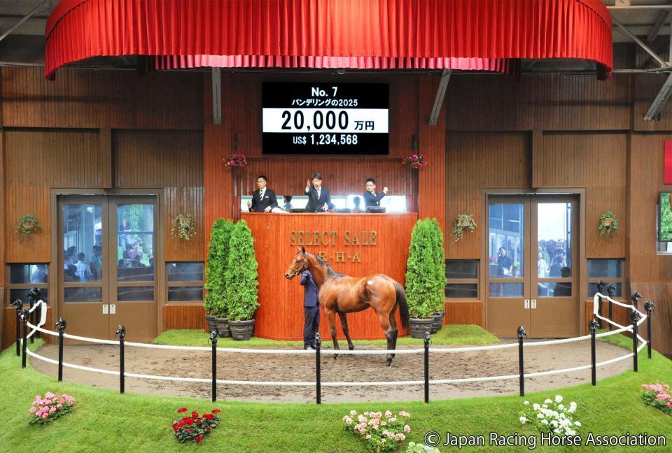 初日初の２億円となったパンデリング２５ⒸＪａｐａｎ　Ｒａｃｉｎｇ　Ｈｏｒｓｅ　Ａｓｓｏｃｉａｔｉｏｎ