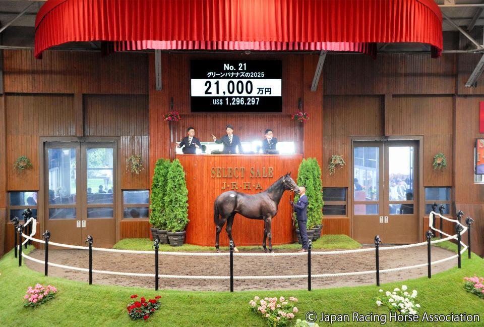 ２億１０００万円で落札されたグリーンバナナズ２５ⒸＪａｐａｎ　Ｒａｃｉｎｇ　Ｈｏｒｓｅ　Ａｓｓｏｃｉａｔｉｏｎ
