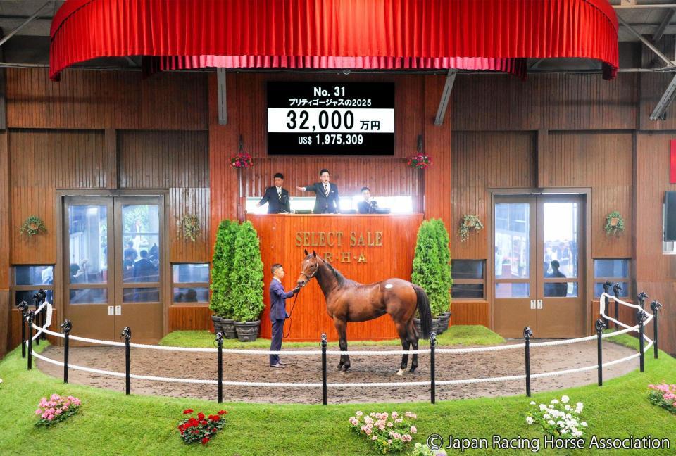 初日初の３億円超えとなる３億２０００万円で落札されたプリティゴージャス２５ⒸＪａｐａｎ　Ｒａｃｉｎｇ　Ｈｏｒｓｅ　Ａｓｓｏｃｉａｔｉｏｎ