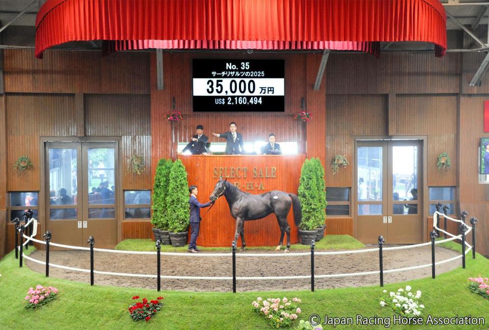 ３億５０００万円で落札されたサーチリザルツ２５ⒸＪａｐａｎ　Ｒａｃｉｎｇ　Ｈｏｒｓｅ　Ａｓｓｏｃｉａｔｉｏｎ