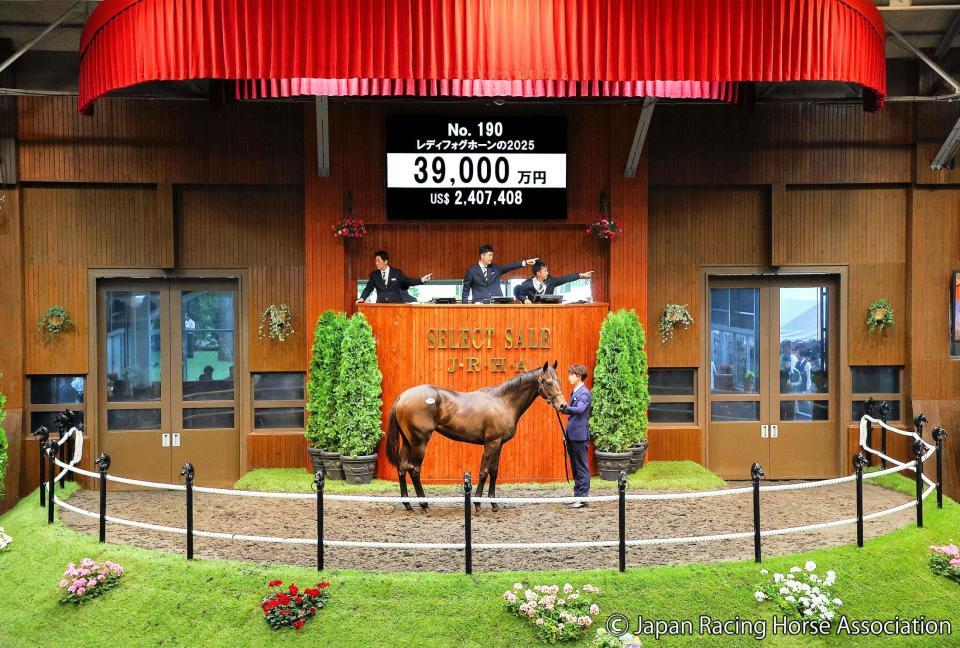 ３億９０００万円で落札されたエフフォーリア産駒のレディフォグホーン２５ⒸＪａｐａｎ　Ｒａｃｉｎｇ　Ｈｏｒｓｅ　Ａｓｓｏｃｉａｔｉｏｎ