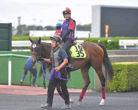 　函館競馬場のコースから引き上げるシグレ