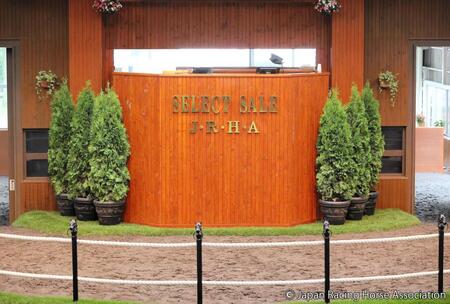 日本最大級の競走馬のセールであるセレクトセールⒸＪａｐａｎ　Ｒａｃｉｎｇ　Ｈｏｒｓｅ　Ａｓｓｏｃｉａｔｉｏｎ