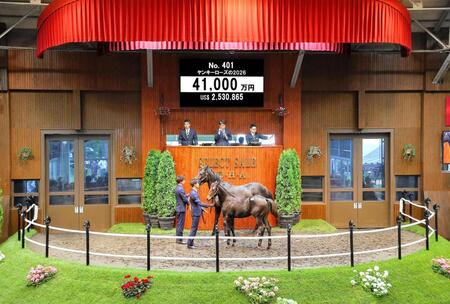 ４億１０００万円で落札されたキタサンブラック産駒のヤンキーローズ２６ⒸＪａｐａｎ　Ｒａｃｉｎｇ　Ｈｏｒｓｅ　Ａｓｓｏｃｉａｔｉｏｎ