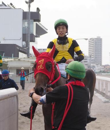「闘魂」メンコを着用したウノキボンバイエ＝浦和競馬場
