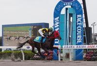 デビュー勝ちを収めたウノキボンバイエ＝浦和競馬場