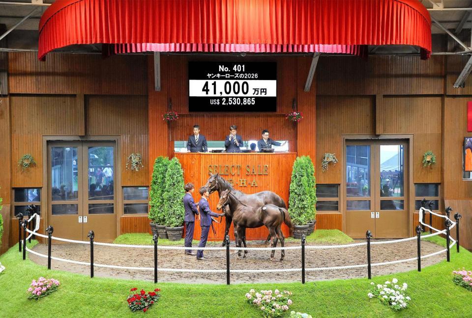 ４億１０００万円で落札されたキタサンブラック産駒のヤンキーローズ２６ⒸＪａｐａｎ　Ｒａｃｉｎｇ　Ｈｏｒｓｅ　Ａｓｓｏｃｉａｔｉｏｎ