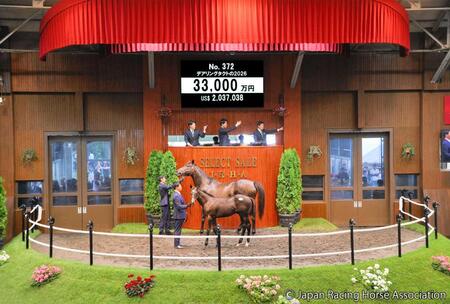 　３億３０００万円で落札されたイクイノックス産駒のデアリングタクト２６（Ｃ）ＪａｐａｎＲａｃｉｎｇＨｏｒｓｅＡｓｓｏｃｉａｔｉｏｎ提供
