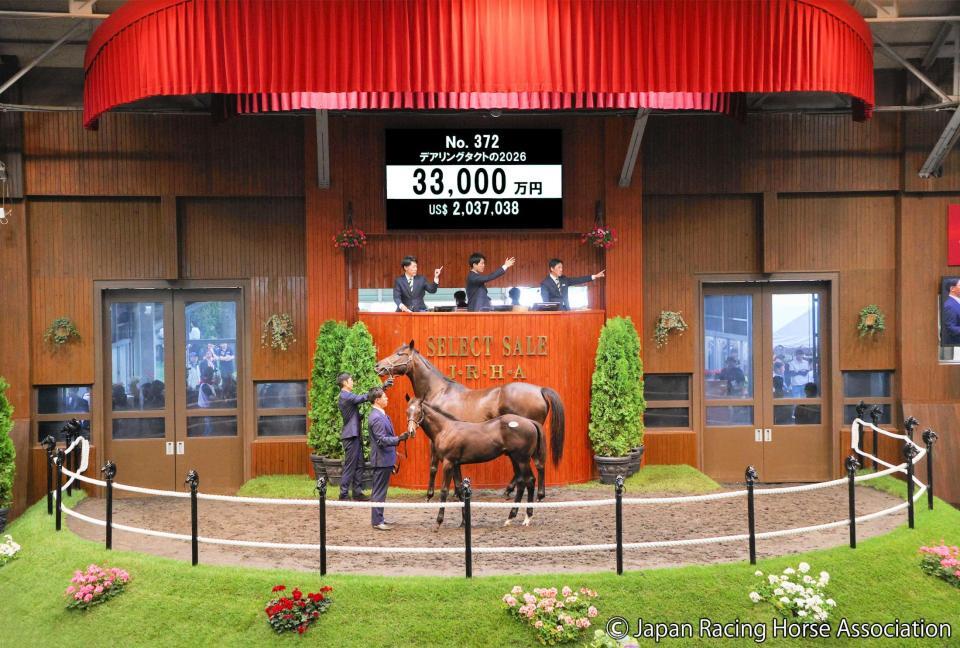 　３億３０００万円で落札されたイクイノックス産駒のデアリングタクト２６（Ｃ）ＪａｐａｎＲａｃｉｎｇＨｏｒｓｅＡｓｓｏｃｉａｔｉｏｎ提供