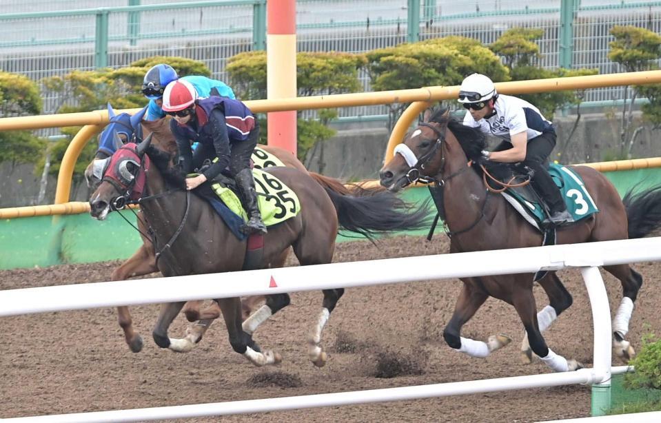 　函館Ｗの３頭併せで最先着を決めたシグレ（左手前）