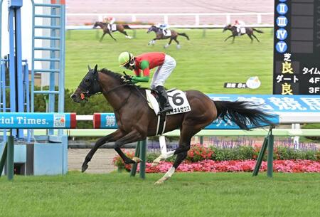 ８Ｒ３歳以上１勝クラスを勝ったマイネルゼウス（撮影・持木克友）