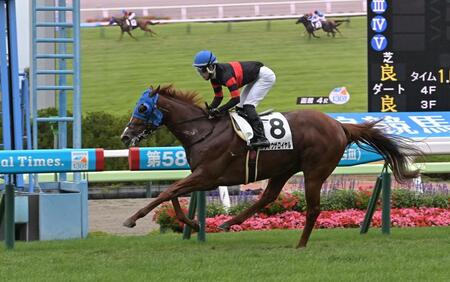 ４Ｒ３歳未勝利を勝ったホウオウザロイヤル（撮影・持木克友）