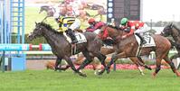 １２Ｒ３歳以上１勝クラスを制したラミアメンテ（撮影・持木克友）