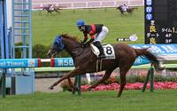 ４Ｒ３歳未勝利を勝ったホウオウザロイヤル（撮影・持木克友）