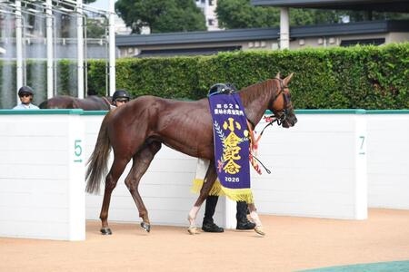 表彰に向かう、ゼンダンハヤブサ