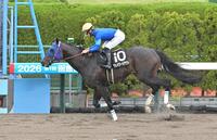 １１ＲマリーンＳを制したウェイワードアクト（撮影・持木克友）