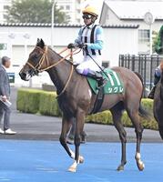 ５着に敗れたシグレ（撮影・持木克友）