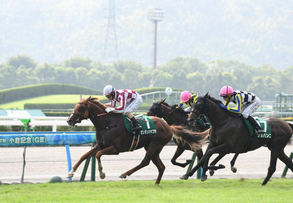 抜け出す、ゼンダンハヤブサ