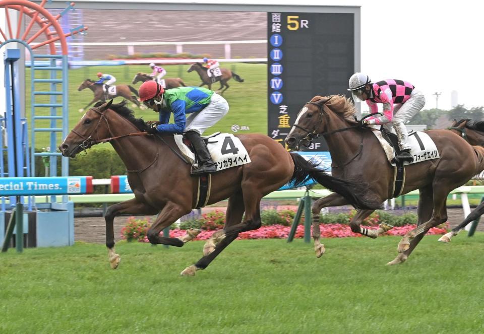 ５Ｒメイクデビュー函館を勝ったテンカタイヘイ（撮影・持木克友）