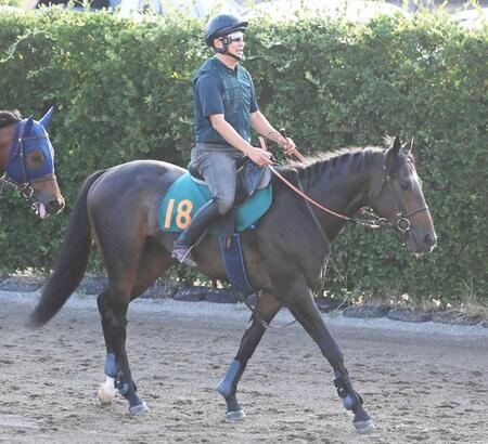 　牝馬３冠馬リバティアイランドを姉に持つ良血馬ダノンダックス