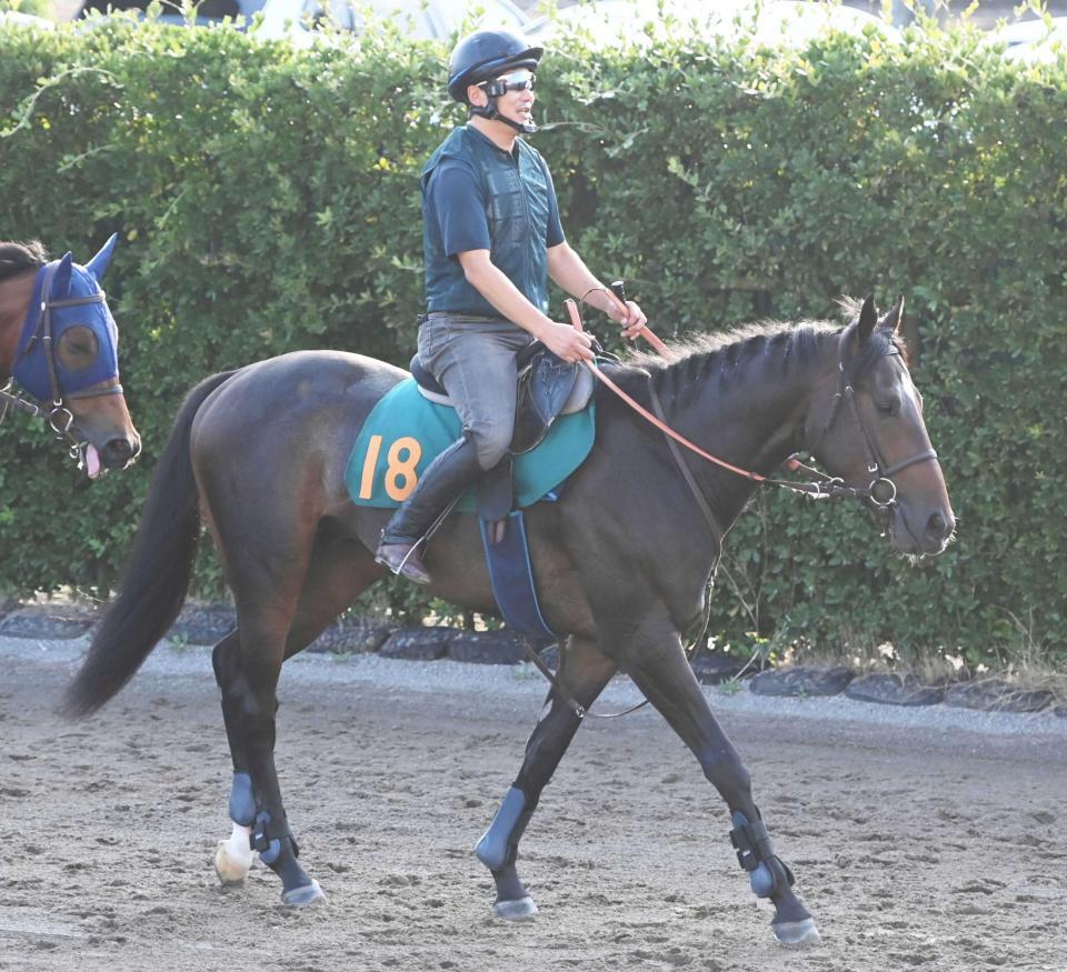 　牝馬３冠馬リバティアイランドを姉に持つ良血馬ダノンダックス