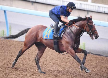 　美浦Ｗを単走で抜群の動きを披露したダノンセンチュリー（撮影・園田高夫）