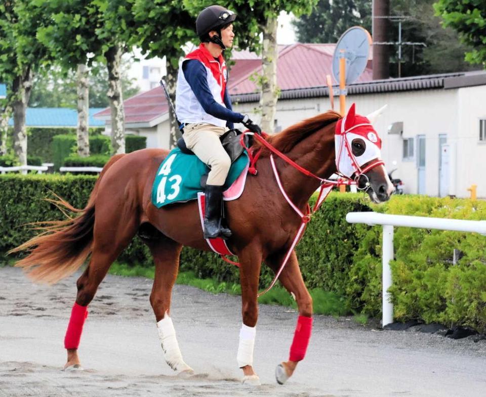 　欧州マイル王バーイーズ産駒の期待馬インワンズブラッド