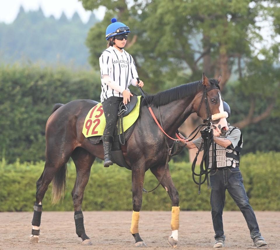 　武井厩舎ゆかりの血統馬ピュアレスト（撮影・園田高夫）