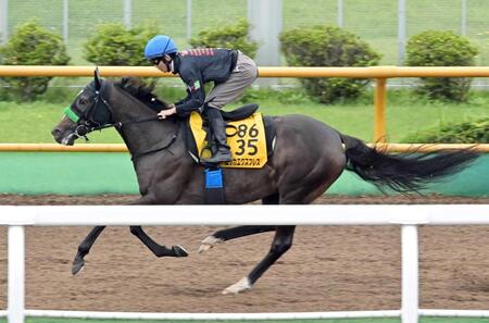 　リズム良く函館Ｗを駆けたエリカエクスプレス（撮影・持木克友）