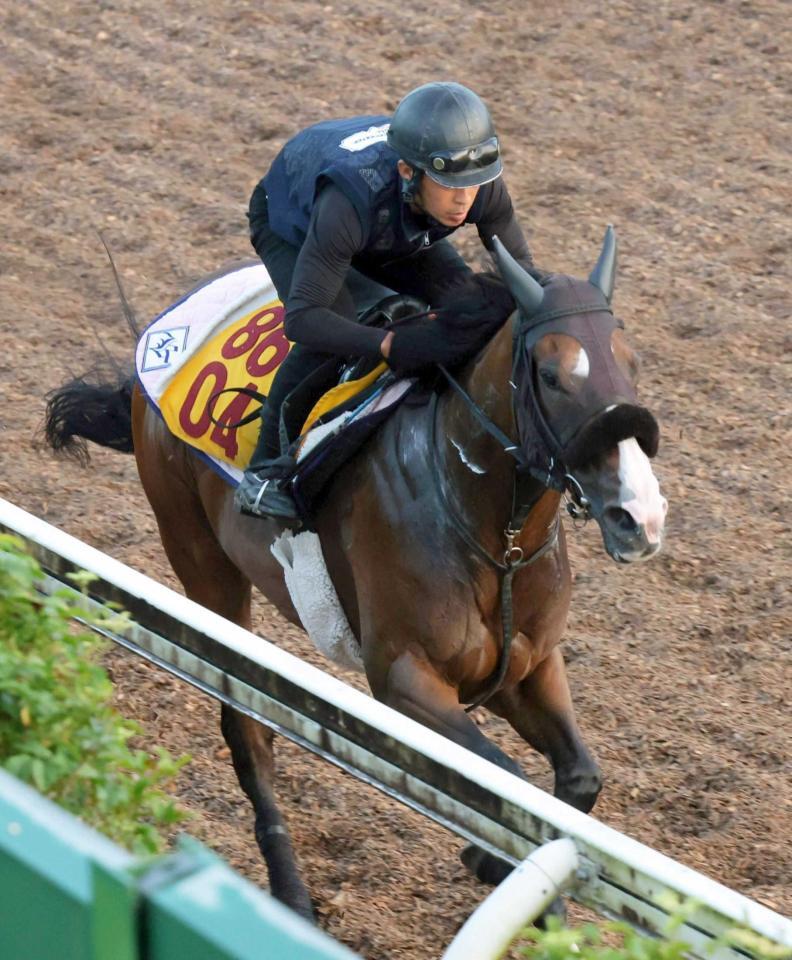 　美浦坂路を駆け上がるエコロレジーナ（撮影・佐々木彰尚）