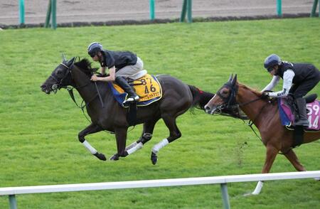 重賞２勝目に向けて順調さをアピールするケリフレッドアスク（左）＝撮影・持木克友